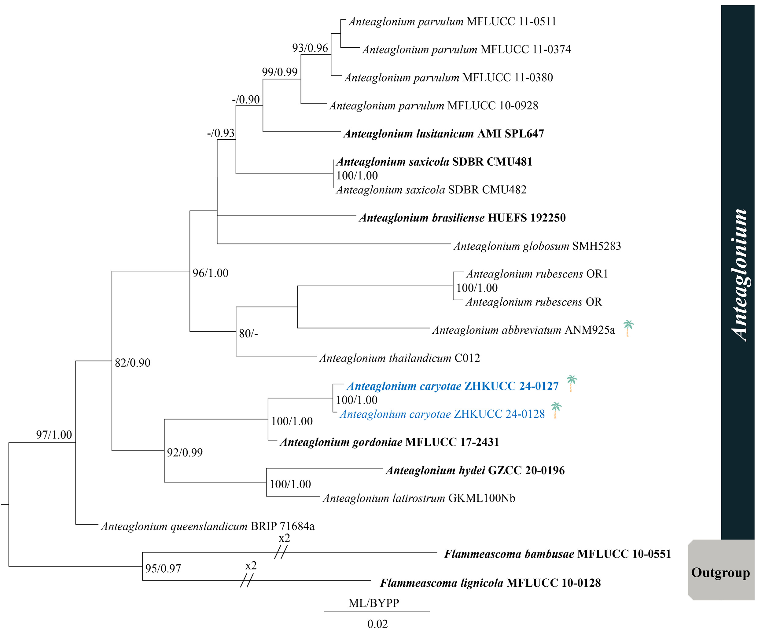Figure 20